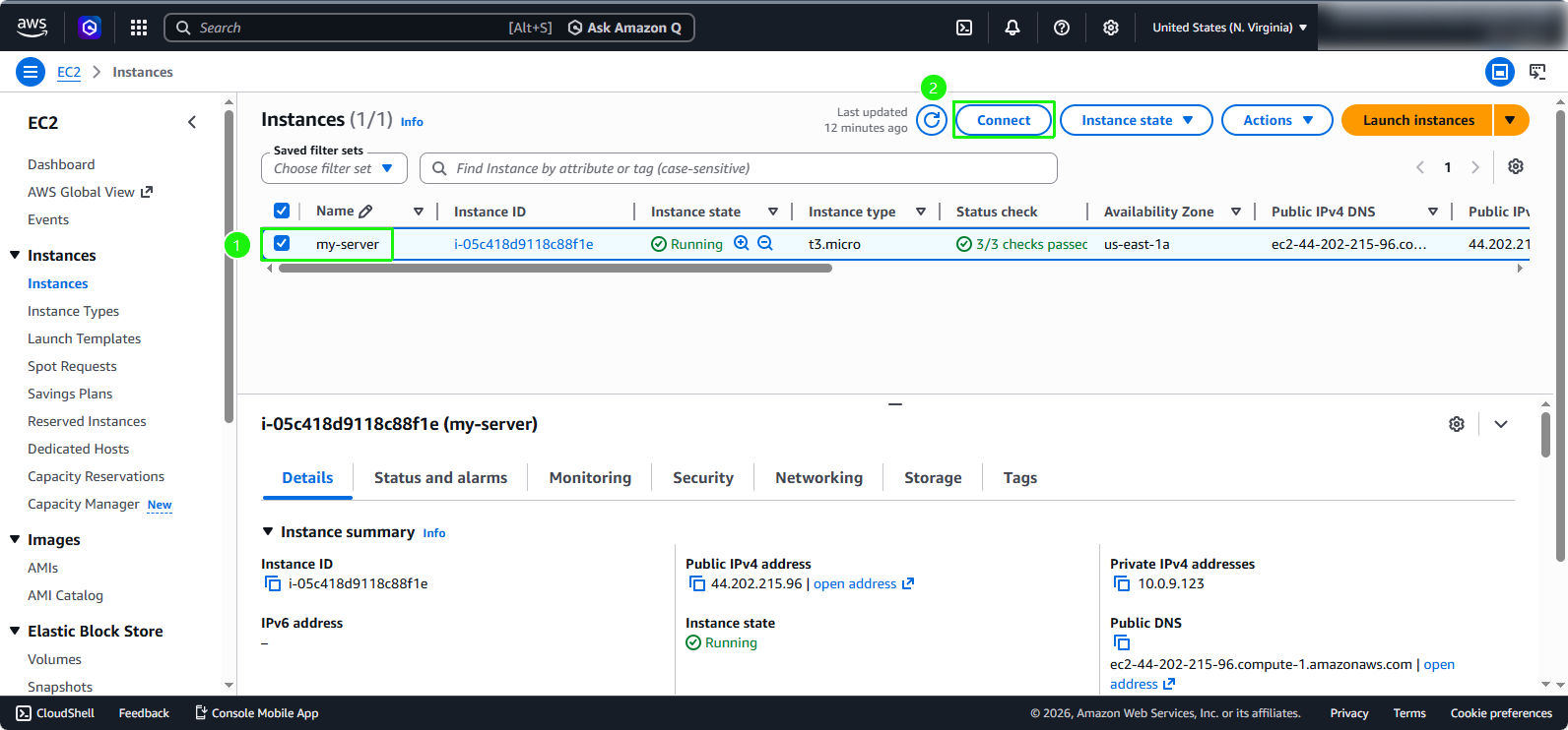 CodeDeploy Agent